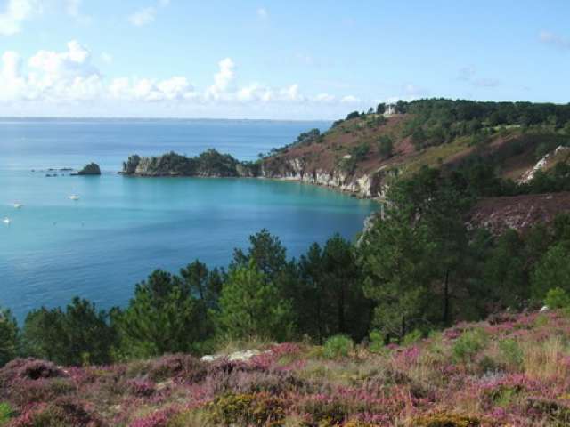 http://img1.toutesleslocations.com/big/57726.jpg